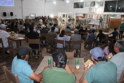 Leilão de Gado em Laranjeiras do Sul Reflete Qualidade e Confiança na Pecuária